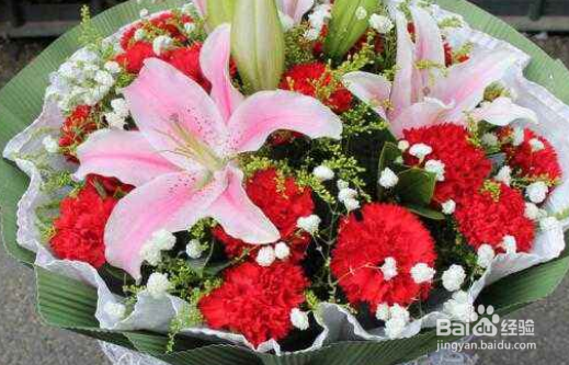 鲜花为什么会有各种颜色