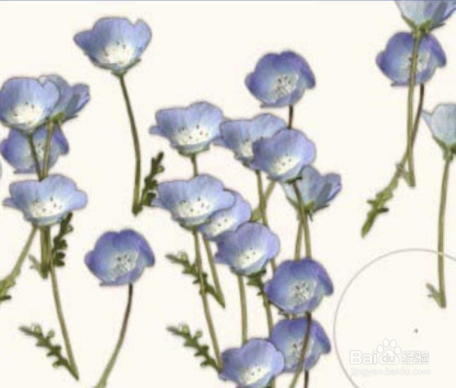 Painter喷图中怎么使用竖型花草的效果?