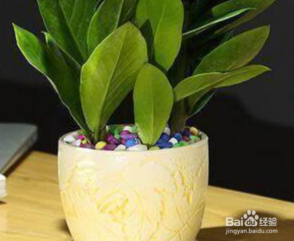 怎样才能避免快速衰老