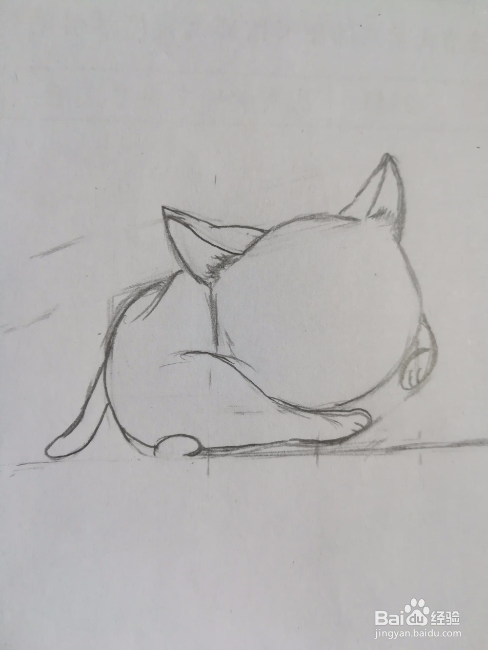 傲娇的小猫画法教程（2）——成型