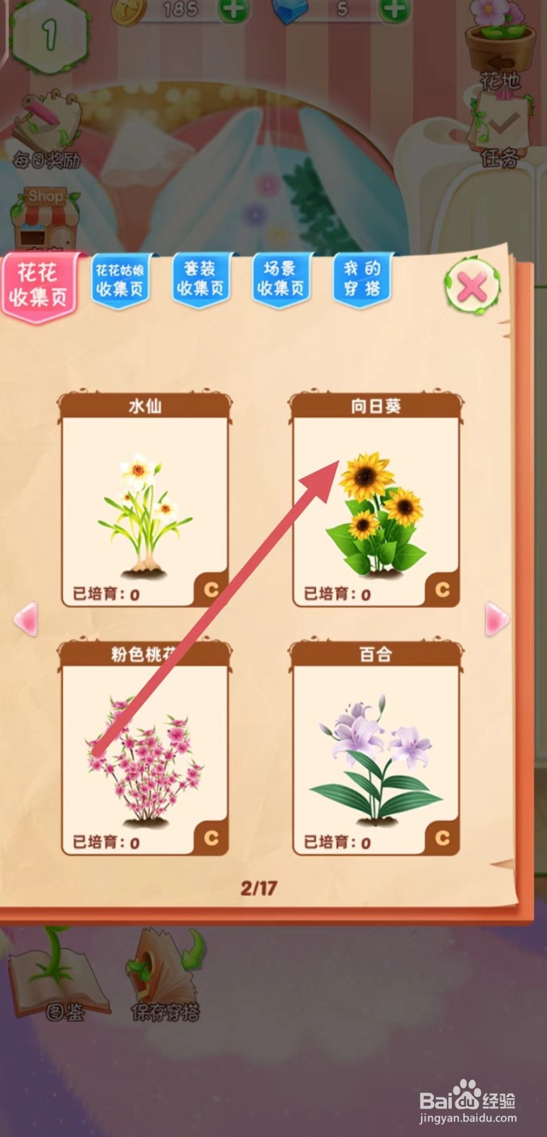 花花姑娘之魔法花园怎么查看向日葵的稀有度