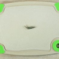 宝宝辅食--鲜虾茄子面汤