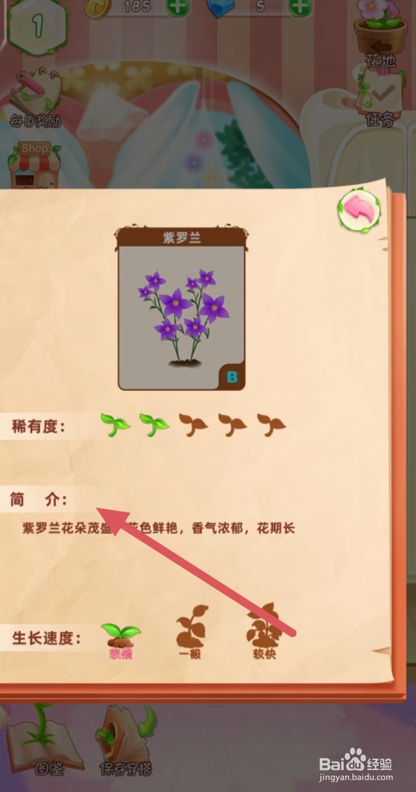花花姑娘之魔法花园怎么查看紫罗兰的简介