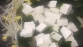 海带芽豆腐味噌汤的做法
