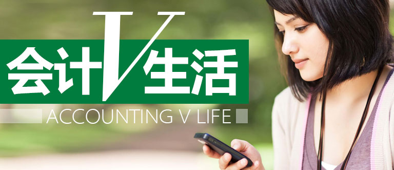 初级会计电算化实训总结怎么写