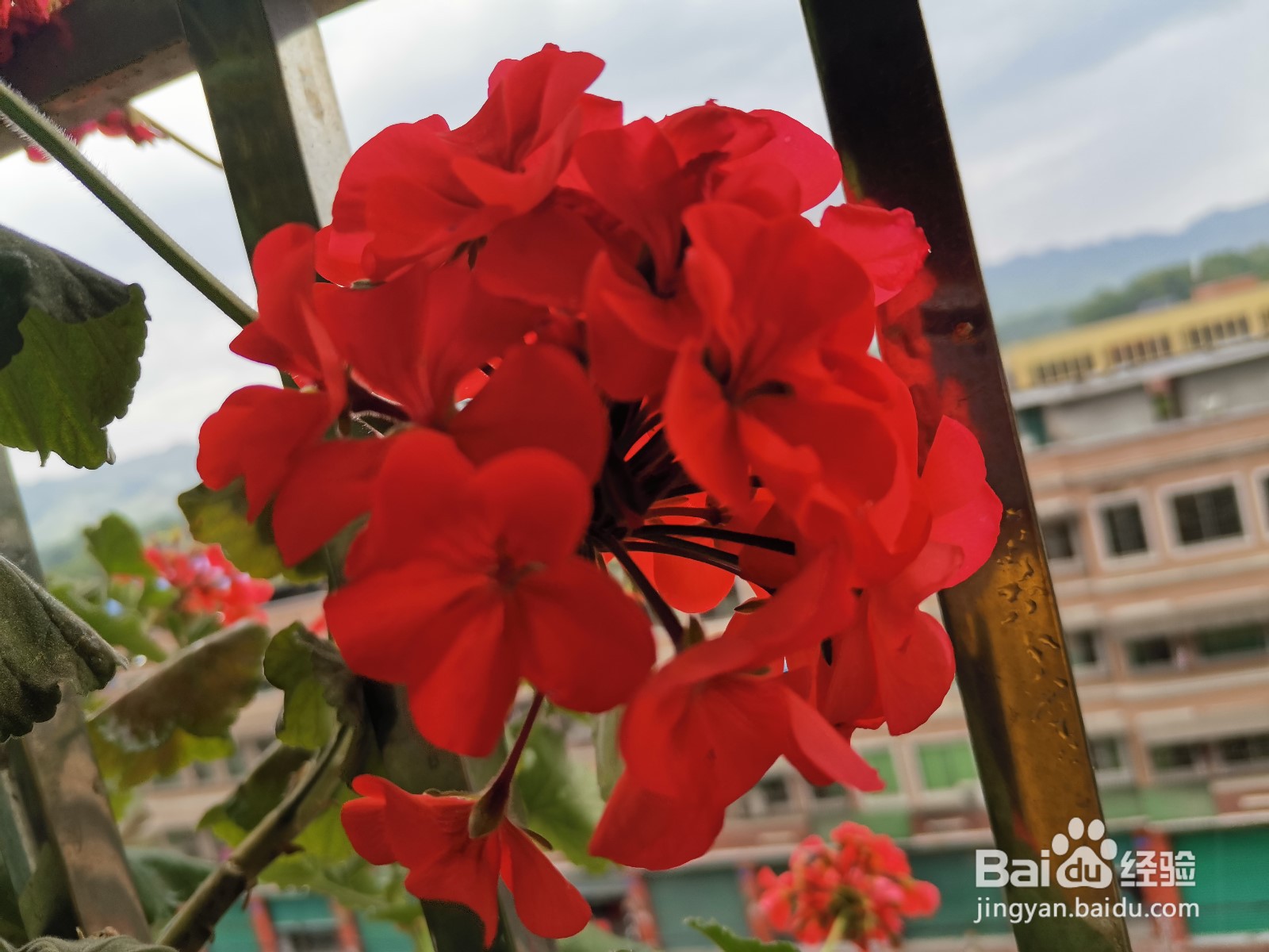 拍小视频如何盈利