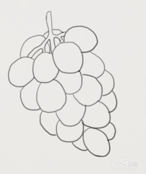 简笔画葡萄#新人打卡