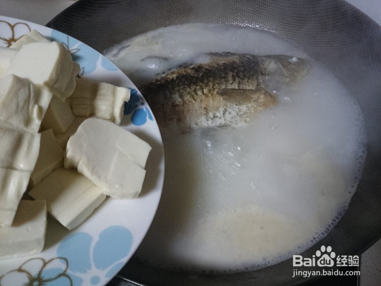 手把手教你做鲫鱼豆腐汤(汤色奶白,鲜香肥美)