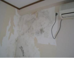 怎么去除屋里的霉味和湿气