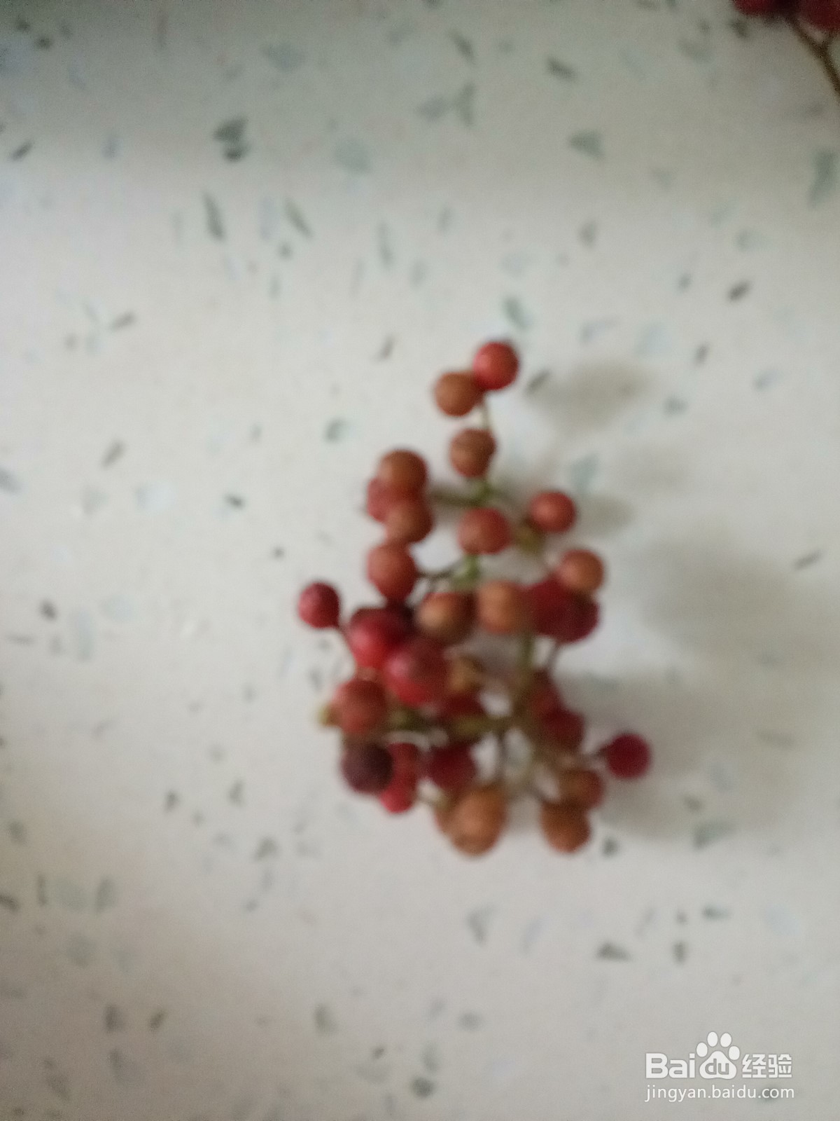 砂锅鸡子炖土豆