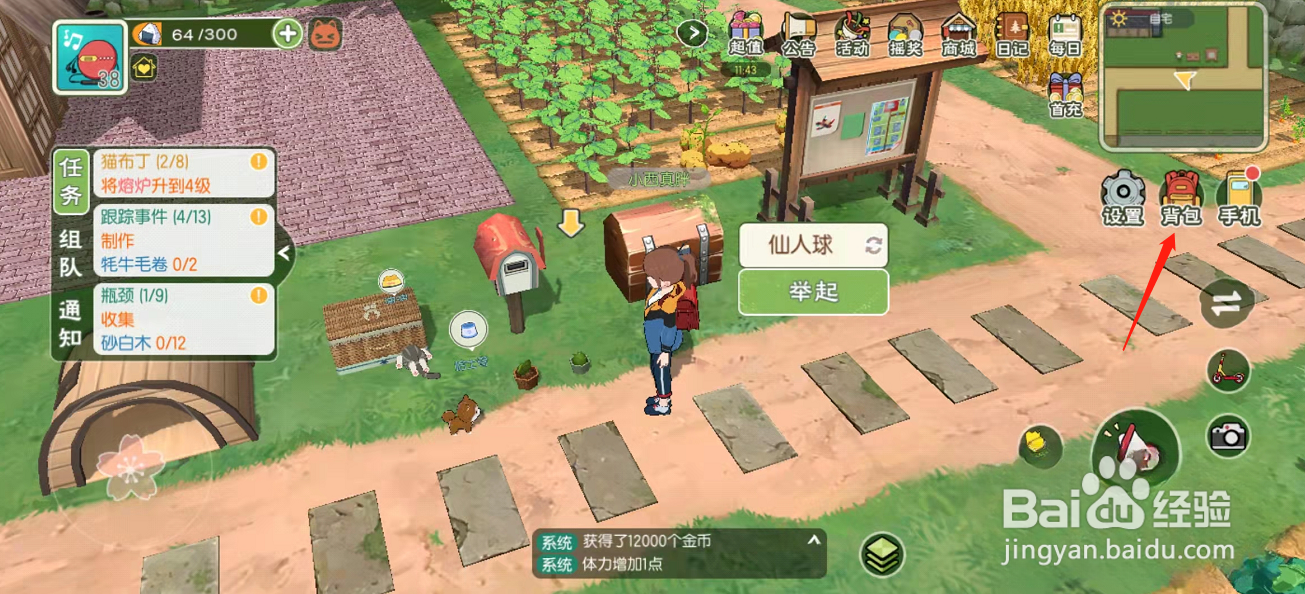 小森生活怎么摆放阔叶绿植