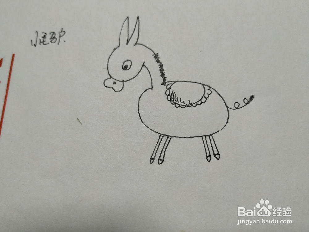小毛驴简笔画怎么画呢