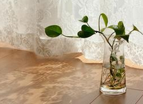 每天做到这几件事，不久以后你就会改变