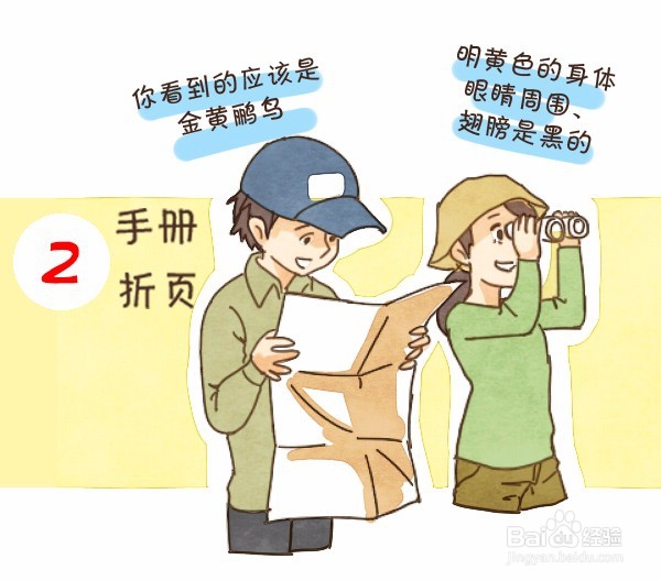 观鸟装备及注意事项