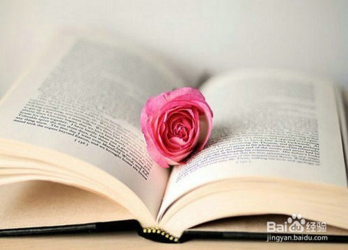 如何让阅读来提升自己的软硬实力