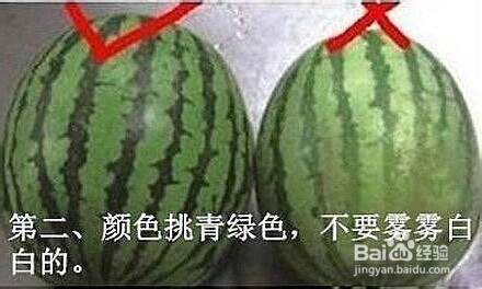 『百度生活小贴士』之教你怎么挑西瓜