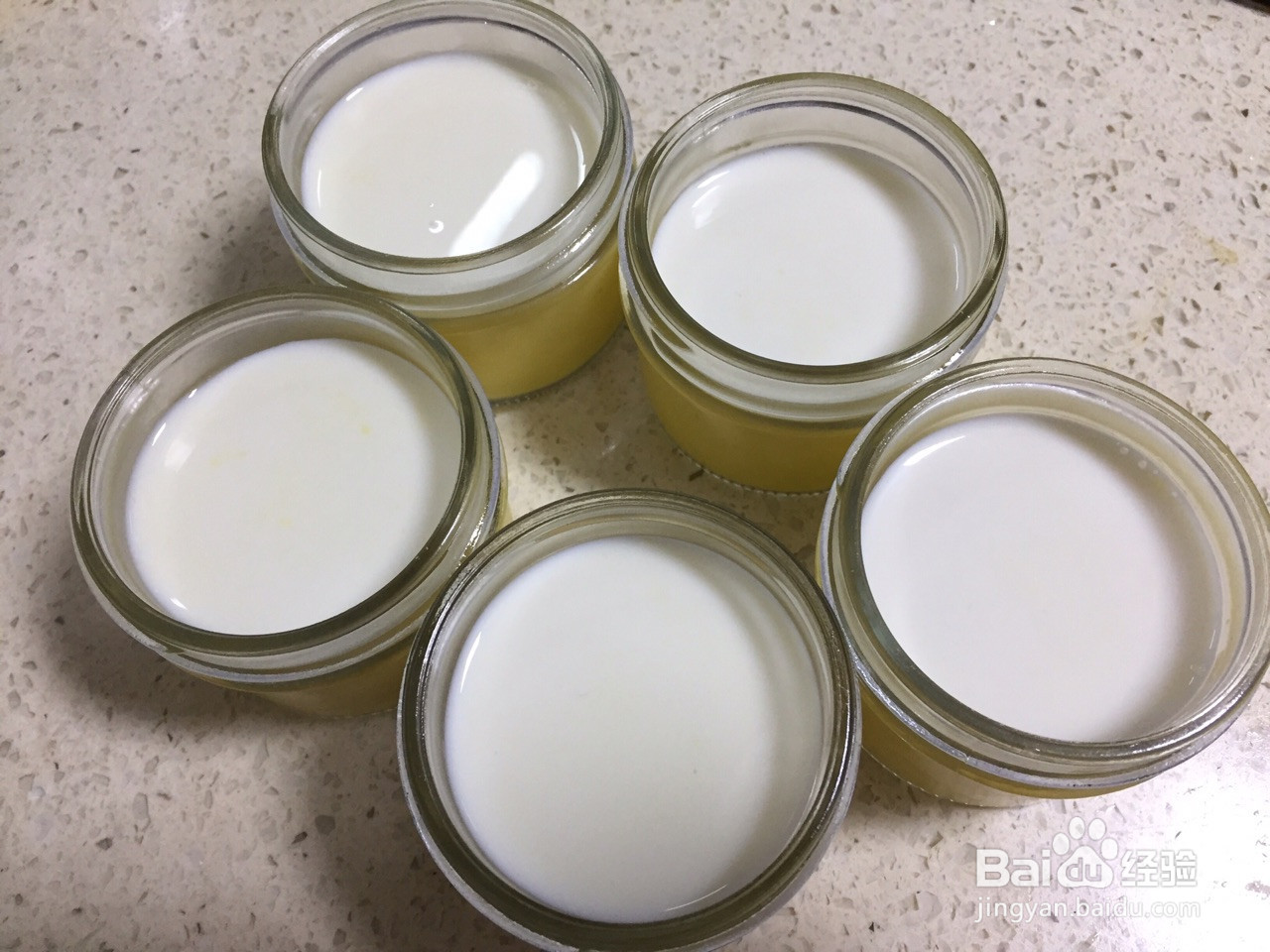 芒果奶香布丁的做法