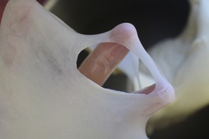 椰蓉酱芋泥包的做法