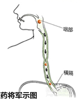 怎样吃胶囊 吞不下胶囊怎么办 百度经验