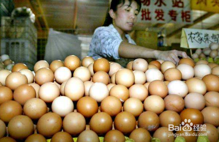 吃两颗大鸡蛋，不如一颗小鹌鹑蛋？它们的差别