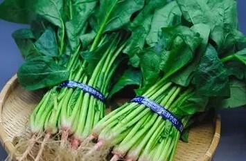 眼睛不好吃什么食物有益处