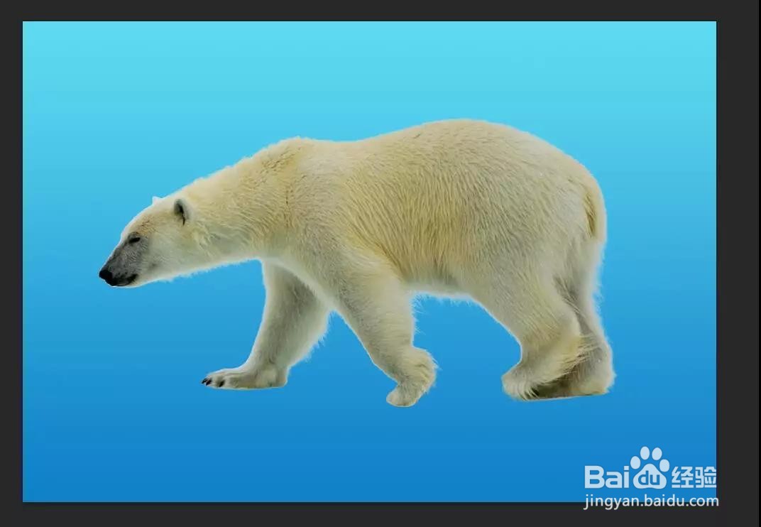 PS：多重曝光北极熊