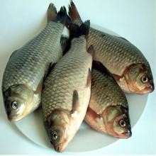 10种平民食物是长寿“仙丹”