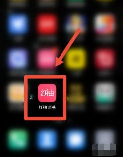 红袖读书app在哪里开启日/夜间跟随系统