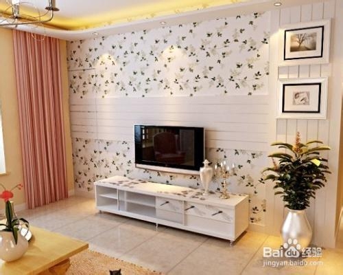 打造完美隐形门 电视墙隐形门效果图欣赏