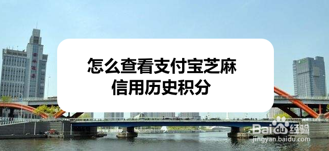 怎么查看支付宝芝麻信用历史积分