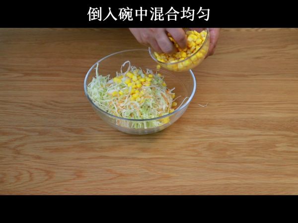 胡萝卜卷心菜沙拉