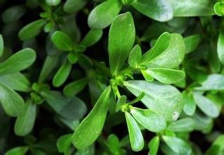 去痘印土方法，你还在信？