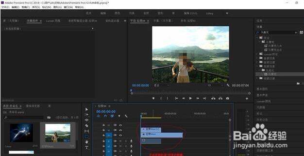 Premiere为视频添加马赛克教程
