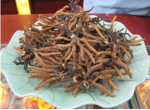 冬虫夏草如何保存