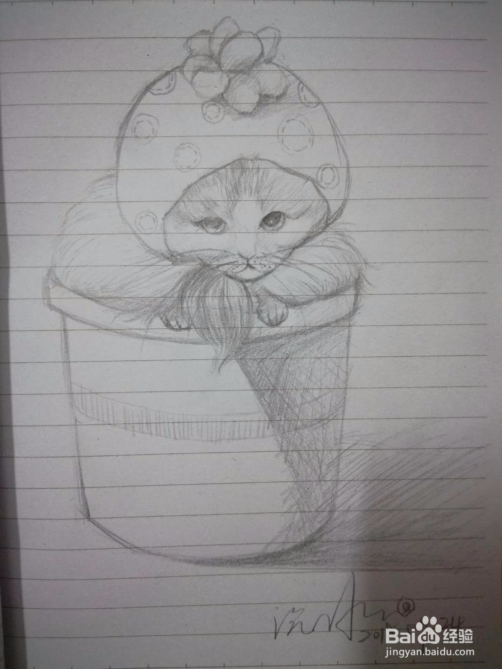 《猫咪盆载》手绘插画教程