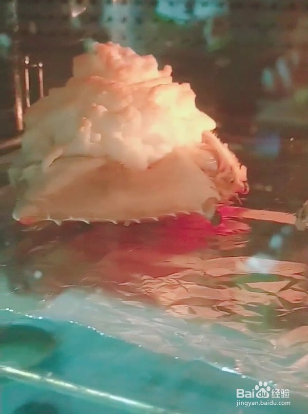 芙蓉蟹斗的做法