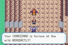 口袋妖怪圣灰攻略图片5