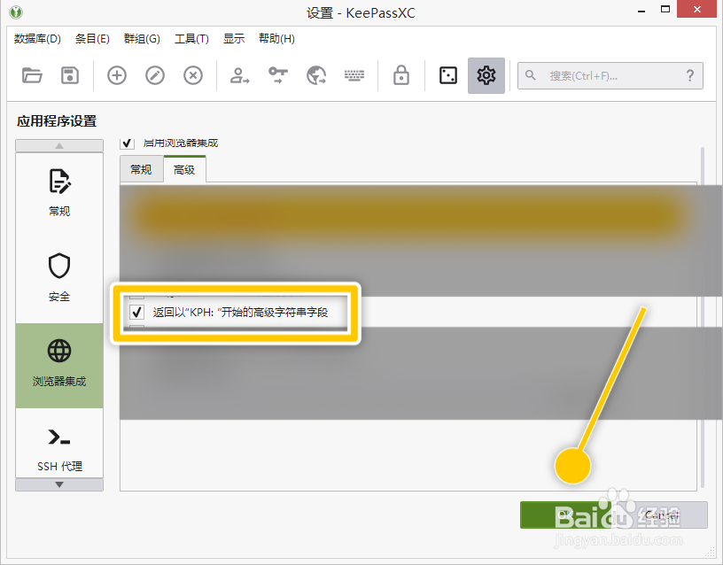 KeePassXC如何返回以KPH开始的高级字符串字段