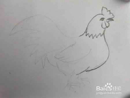 公鸡画法教程(1)亲子简笔画,怎么画公鸡
