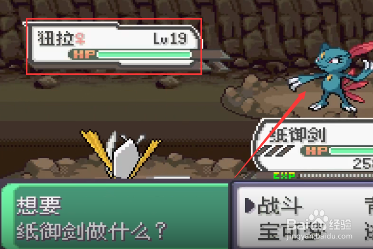 究极绿宝石纽拉在哪里捕捉