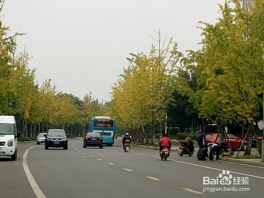 怎么在自己城市周边旅游？