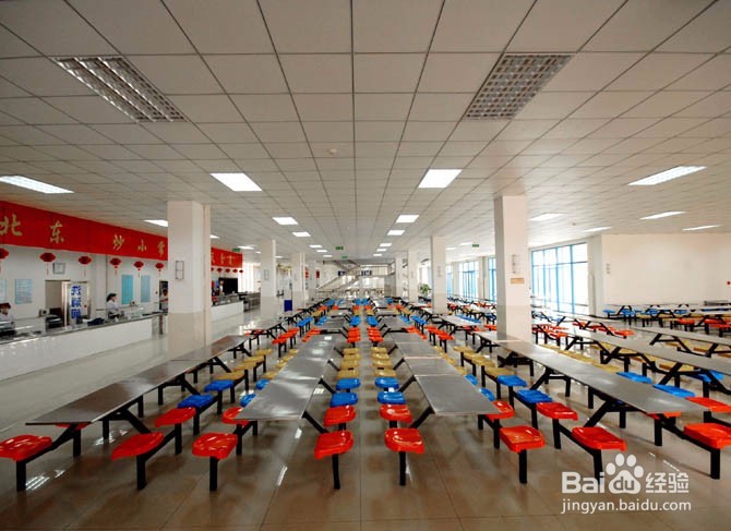 刚进入大学应该做什么