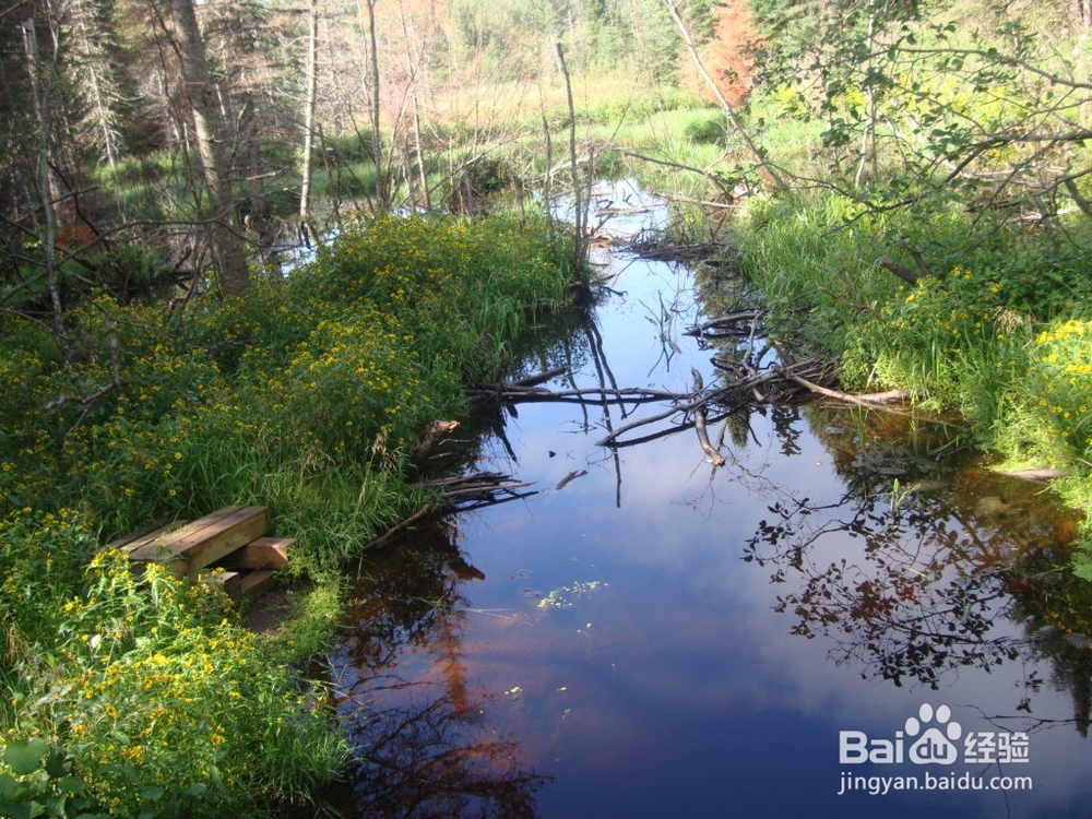 徒步爱好者的旅游圣地之一苏必利尔步道