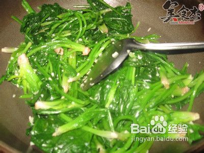 爽口蒜蓉菠菜
