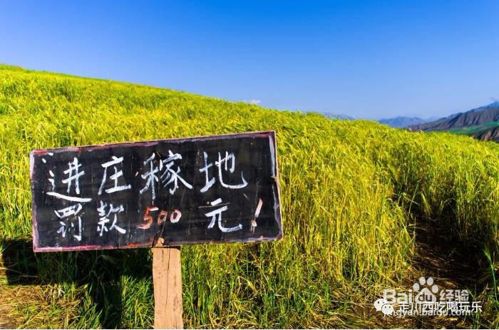 自驾川藏攻略，注意哪些罚款情况？