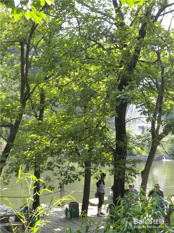 山东到哪儿去爬山？（一）