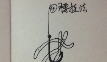 蚯蚓的挂法最正确的挂法