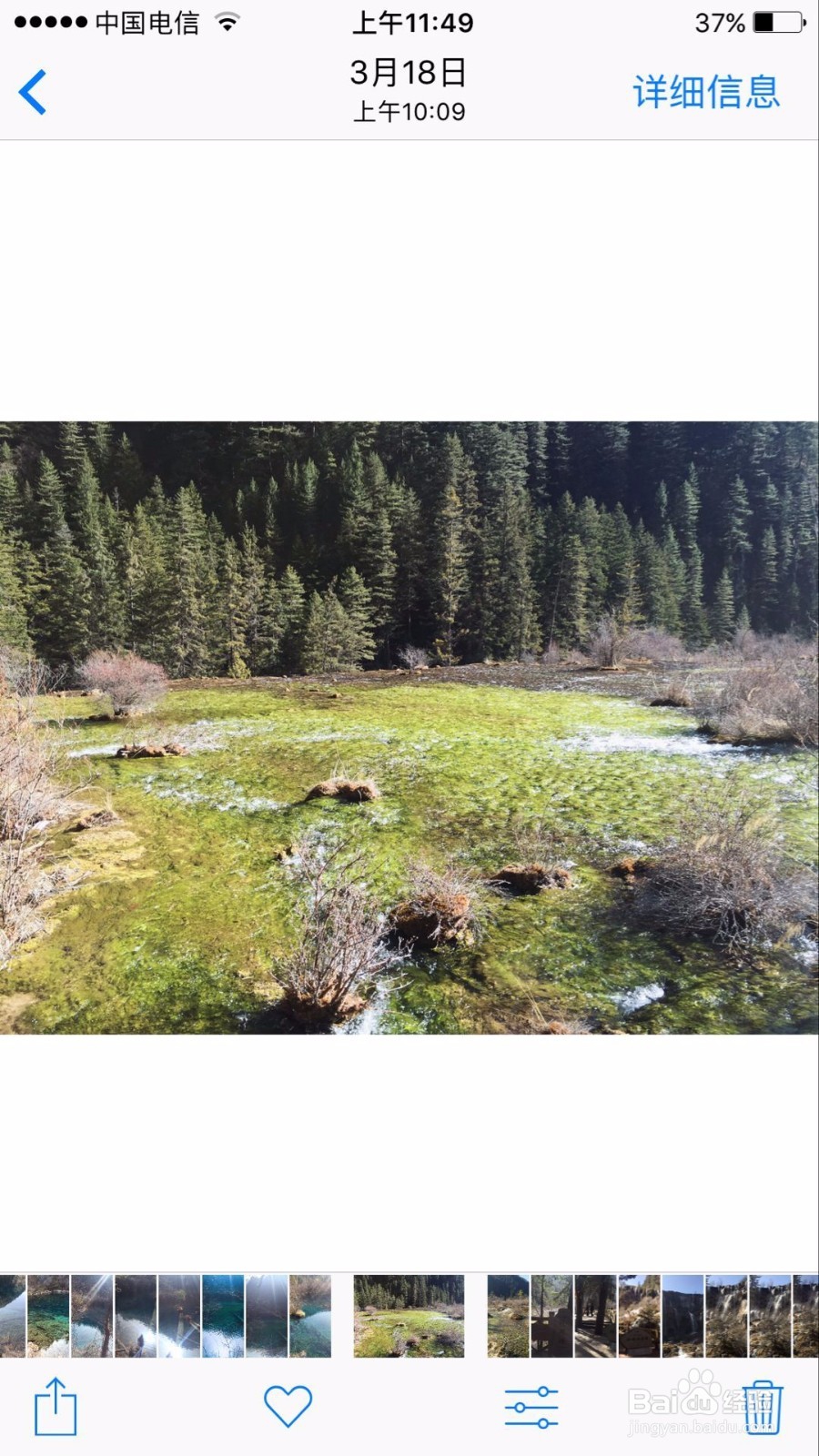 苹果手机把照片变成黑白艺术照的5个方法