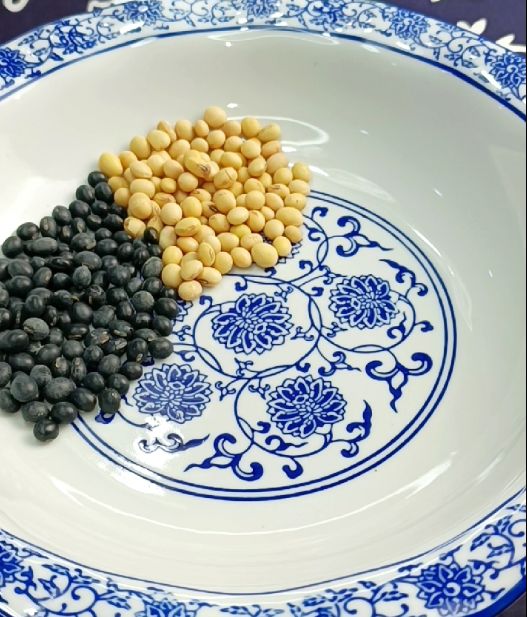 健康膳食五谷豆浆