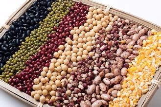 最易消化的几种食物